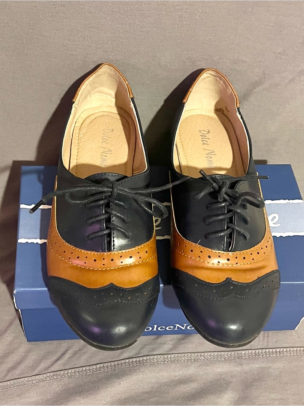 Dolce Nome Two-Tone Navy Blue and Brown Shoe